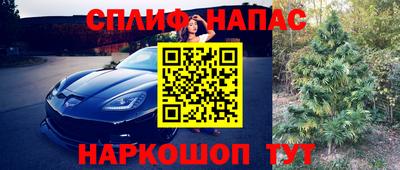 ПСИЛОЦИБИНОВЫЕ ГРИБЫ Донской