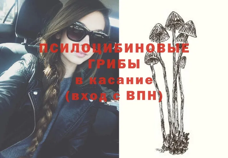 Псилоцибиновые грибы Magic Shrooms  купить закладку  Нижнекамск 