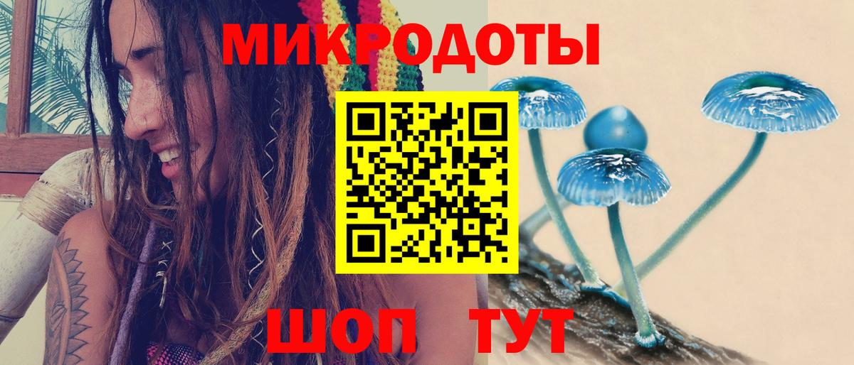 Галлюциногенные грибы Magic Shrooms Нижнекамск